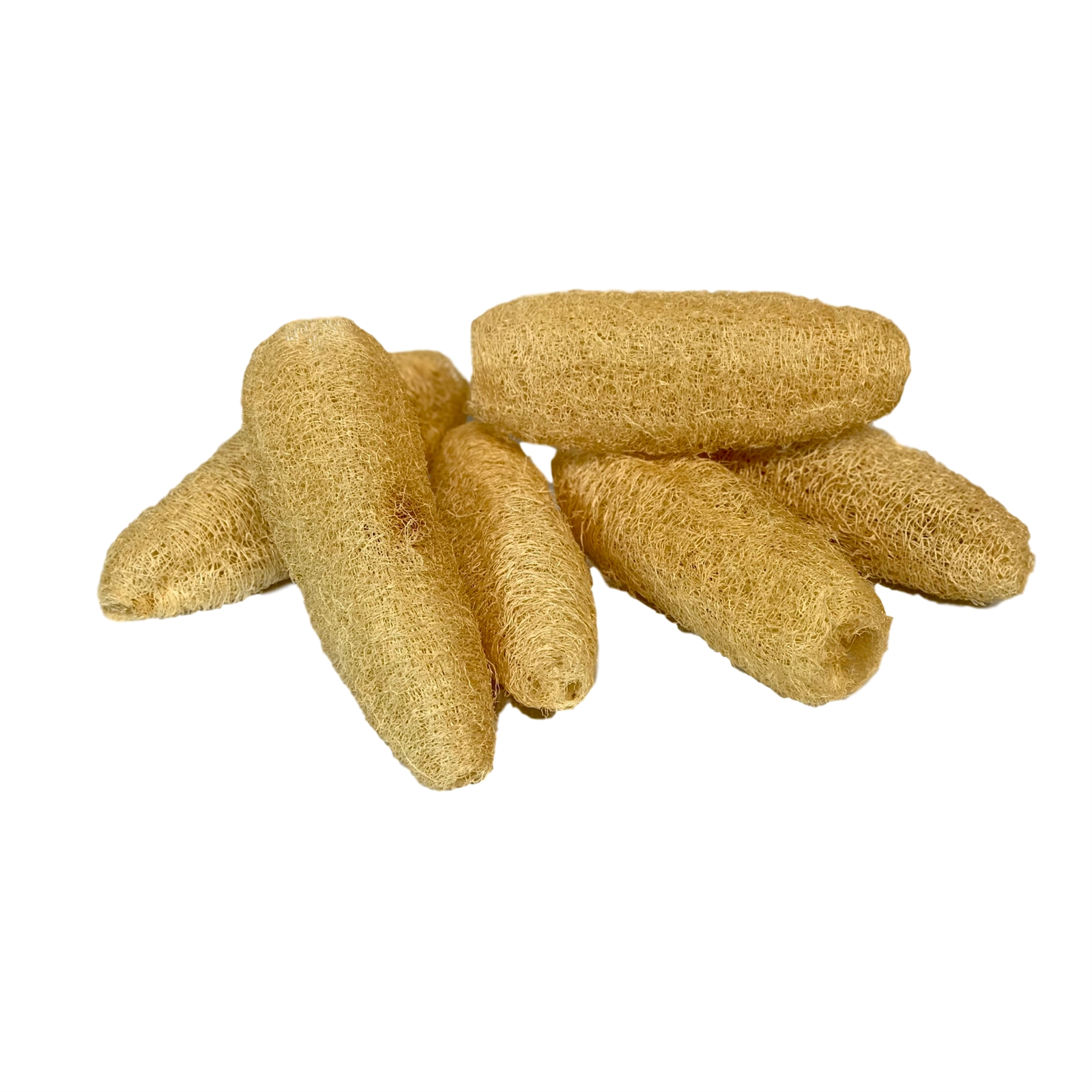 6 Luffa Semi Bleached 