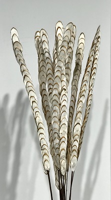 12 StemAlmond Slice Drop-in Bouquet